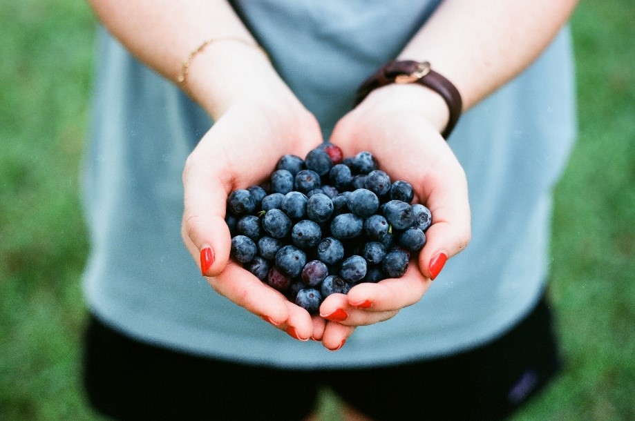 Aliments colesterol
