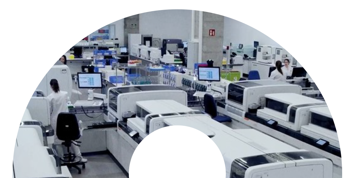 enfermedad autoinmune